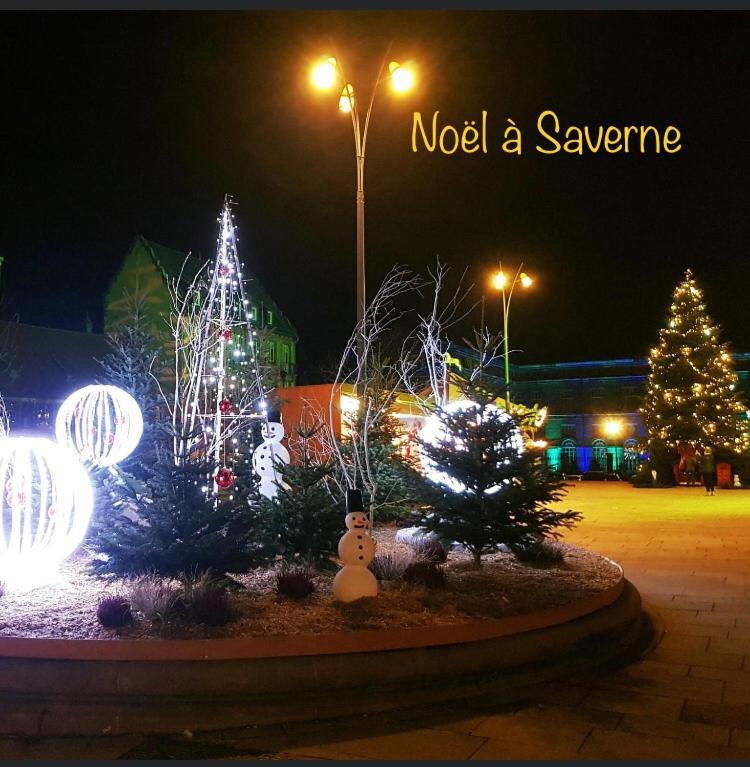 Casasavernoise O Sonho Appart2 Saverne Exterior foto