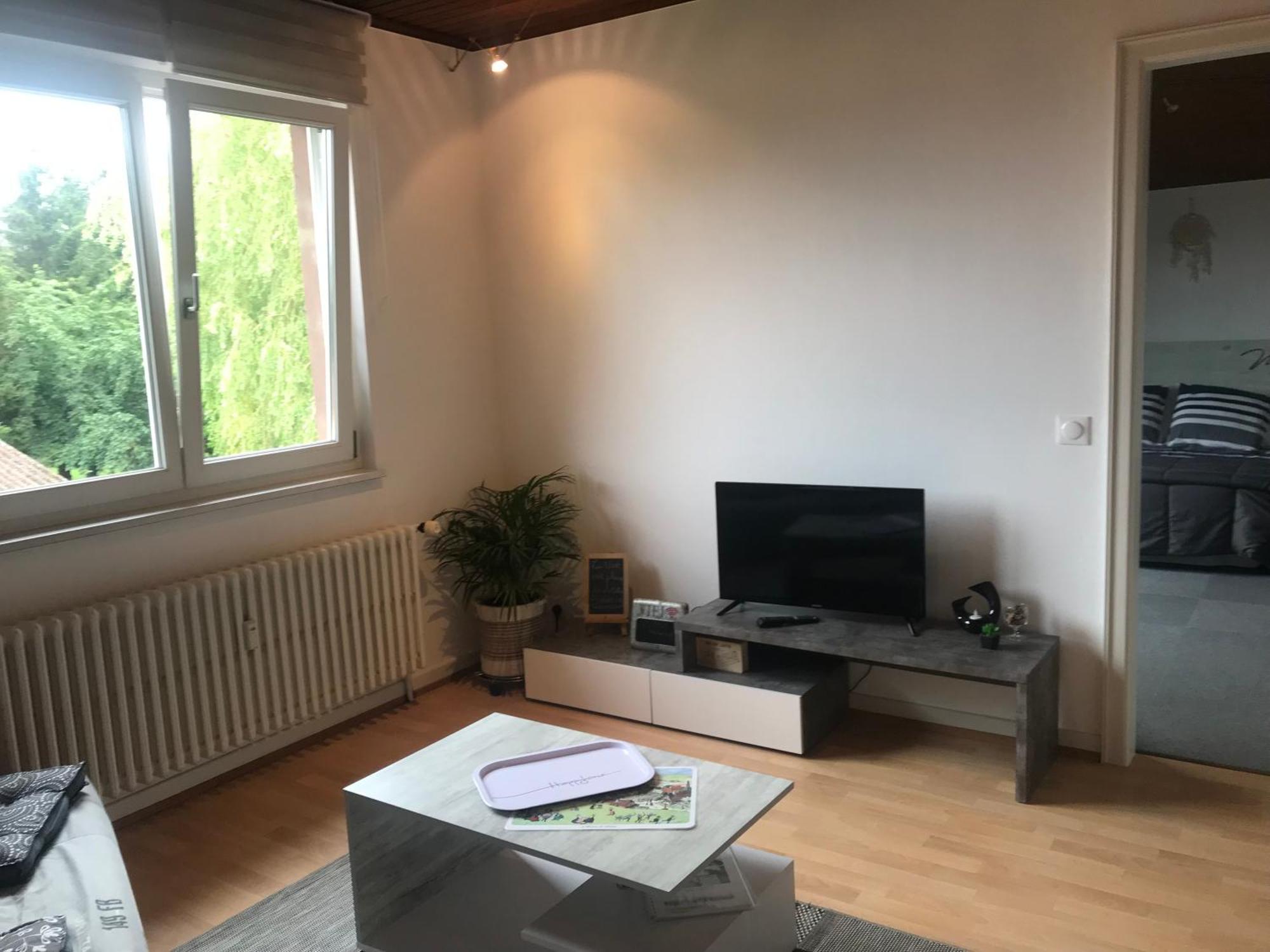 Casasavernoise O Sonho Appart2 Saverne Exterior foto